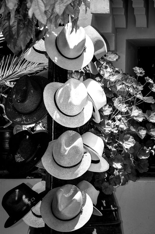 DSC_6679.jpg :: Panama Hats