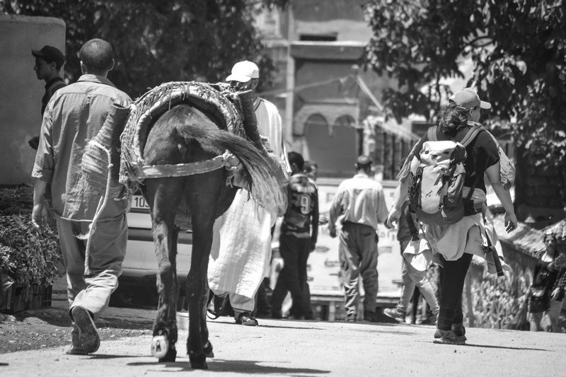 DSC_6735.jpg :: Man and Donkey, Imlil, Morocco
