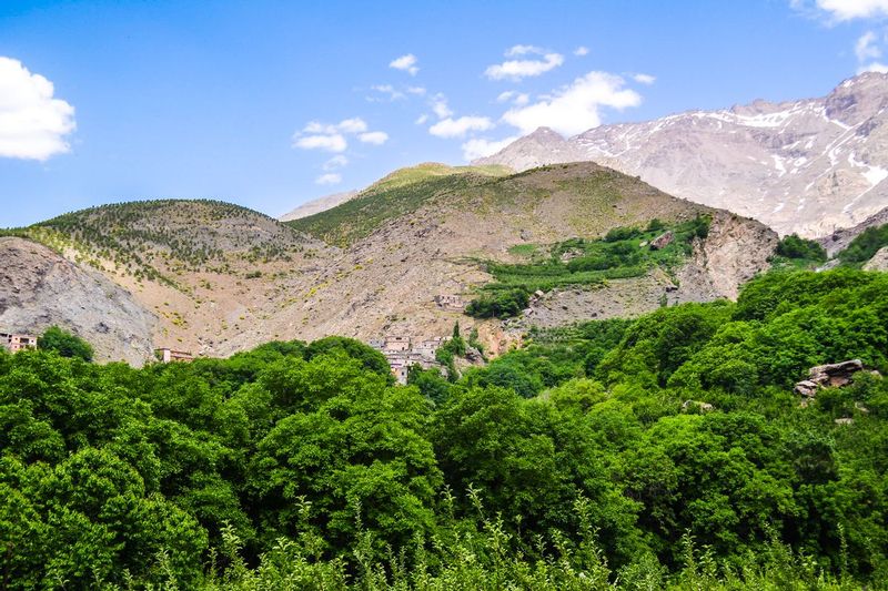DSC_6781.jpg :: Atlas Mountains, Morocco