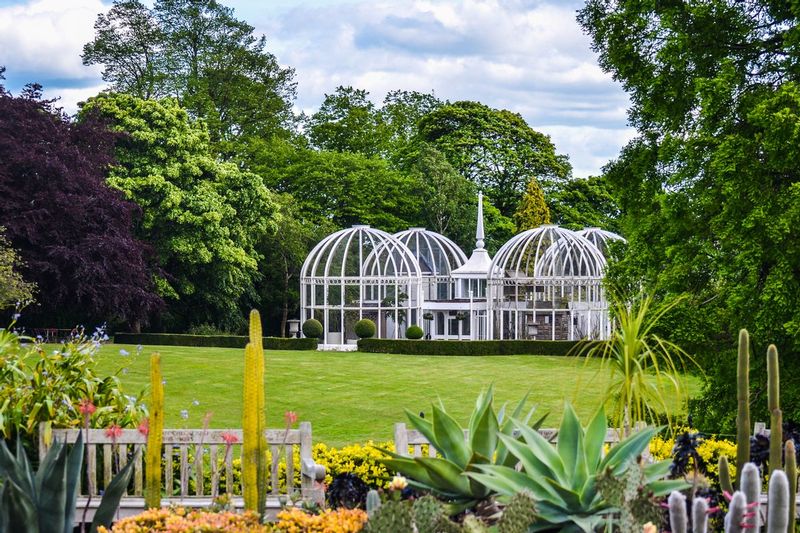 DSC_7787.jpg :: Birmingham Botanical Glass Houses