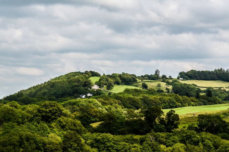 DSC_8455.jpg :: Countryside View, Carmarthen