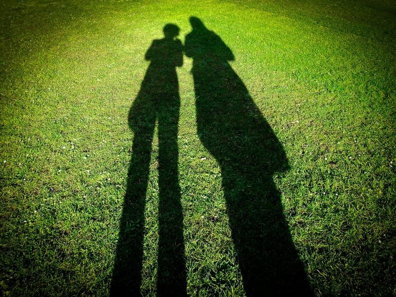 ShadowsOnGrass.jpg :: Shadows On Grass