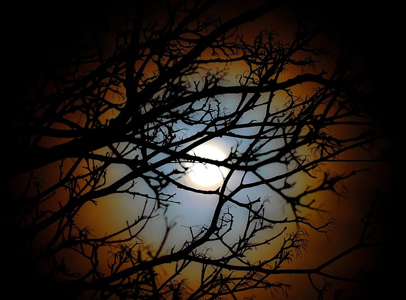 fullmoon_corona_180120141.jpg :: Moon Corona 