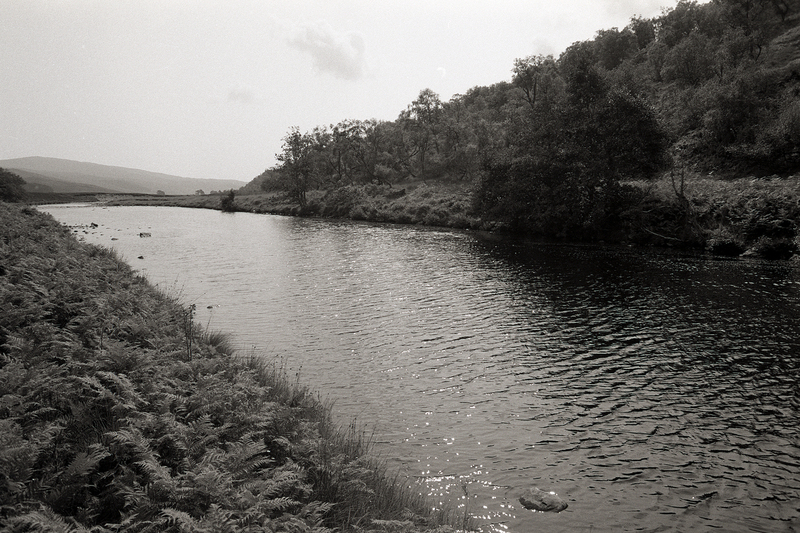 42 A1314B 96000012.jpg