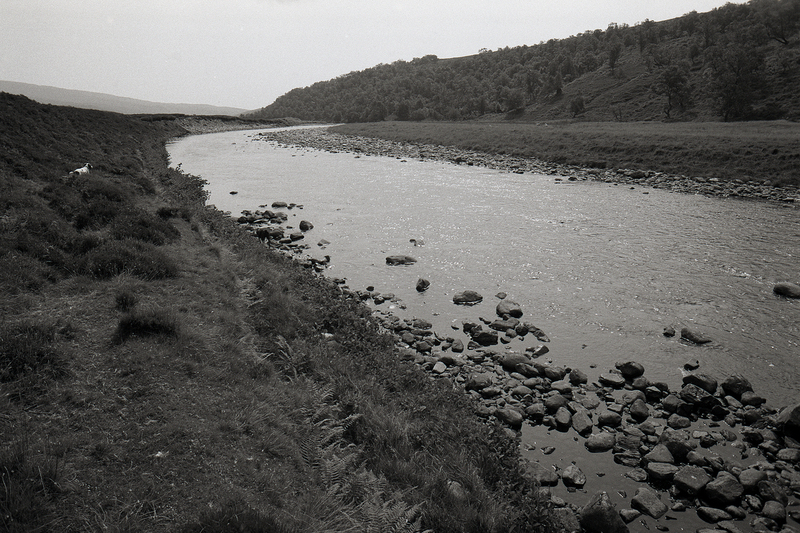 48 A1314B 96000006.jpg