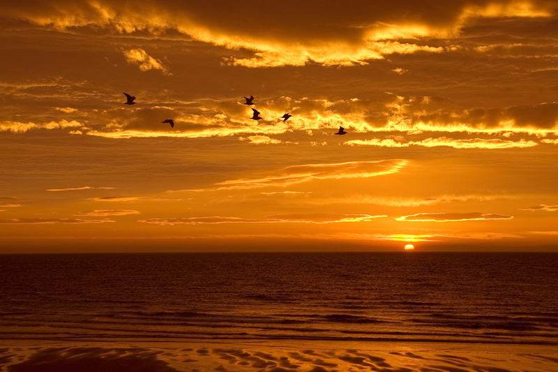 Brora unrise scot40.jpg