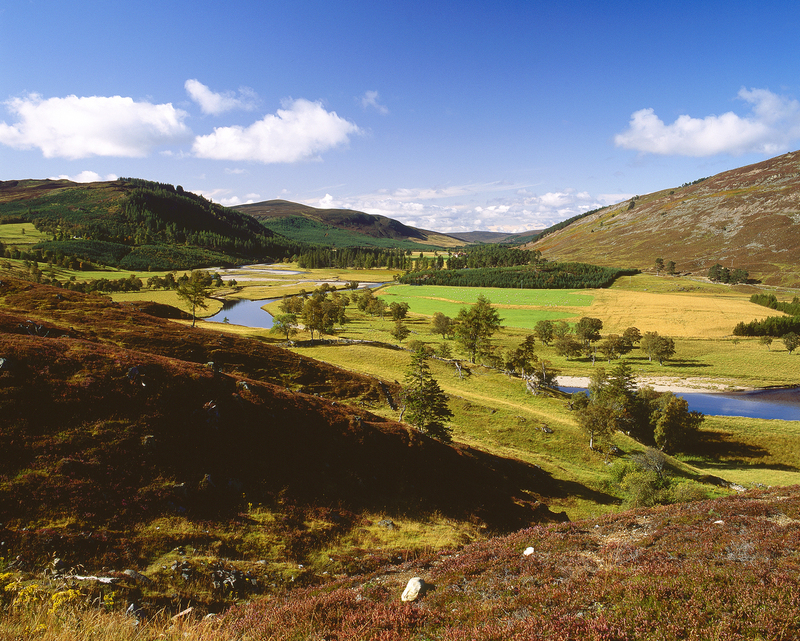 Deeside scot60.jpg
