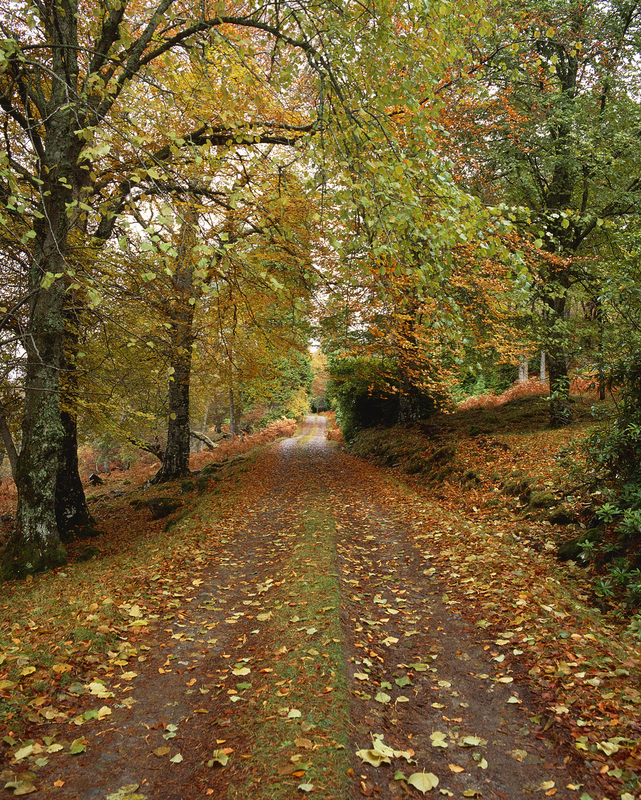Glencassley drive scot57.jpg