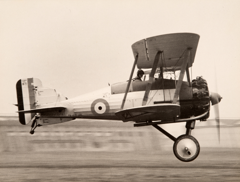 Gloster Gamecock DSC_0715.jpg