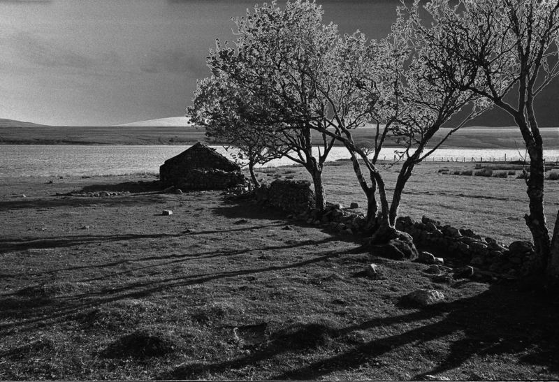Loch Borralan Altnacealgach scot2.jpg