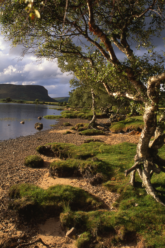 Loch Brora scot59.jpg