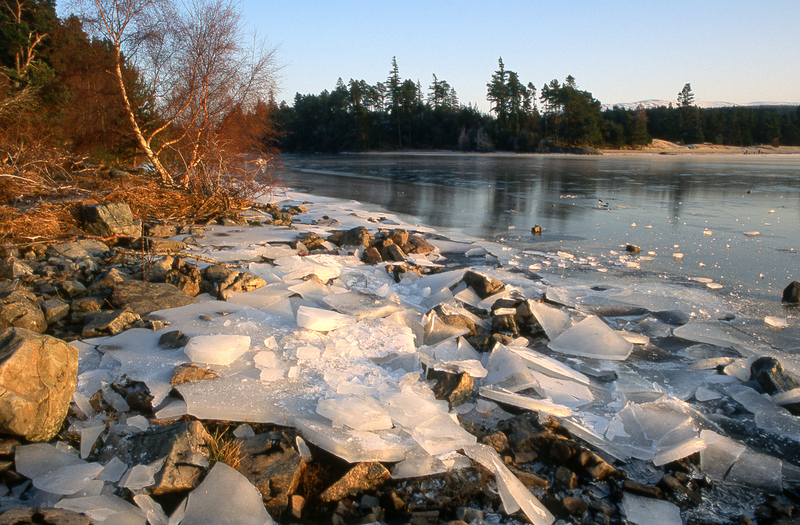 Loch Laggan scot19.jpg