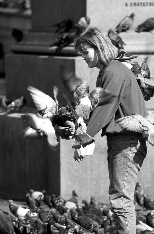 People Pigeons in Trafalgar Square 2017839.jpg