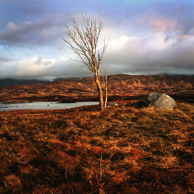 Rannoch Moor scot8.jpg