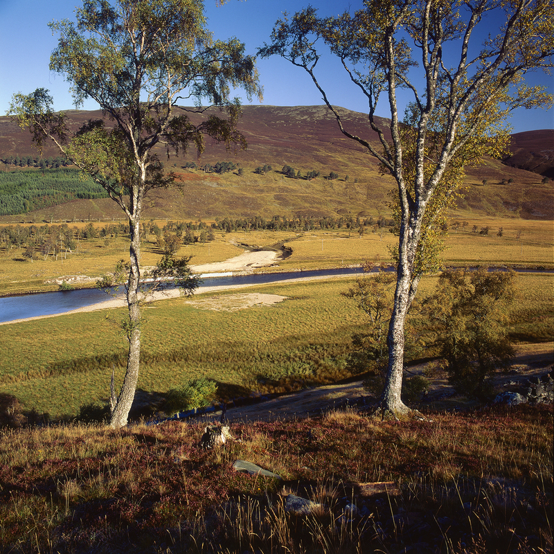 River Dee scot10.jpg