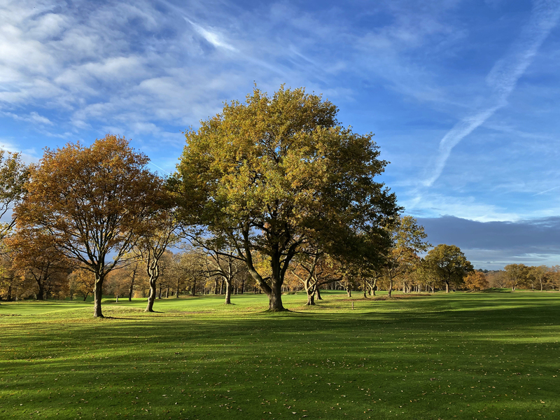 Royal Wimbledon Golf Club wimb7.jpg