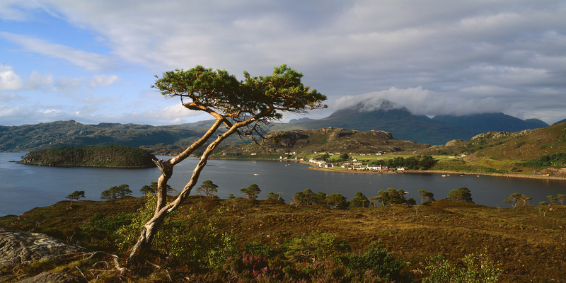 Shieldaig scot56.jpg