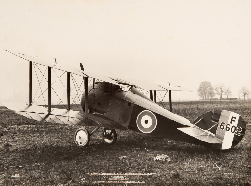 Sopwith Salamander TF2 DSC_1727.jpg