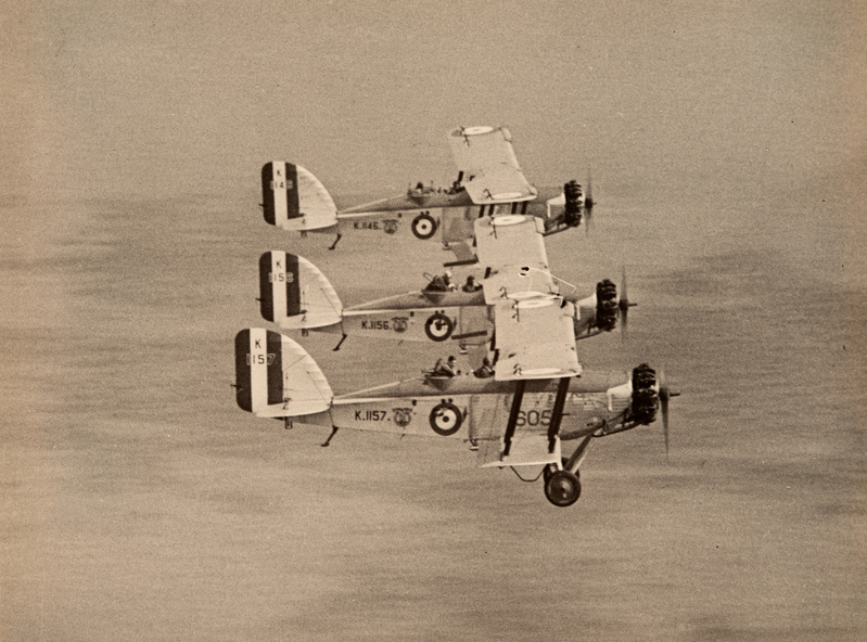 Westland Wapitis DSC_0864.jpg