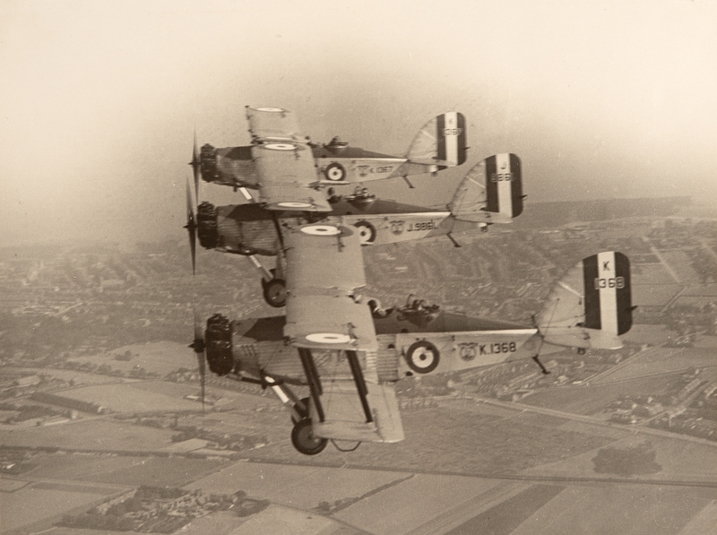 Westland Wapitis DSC_0906.jpg