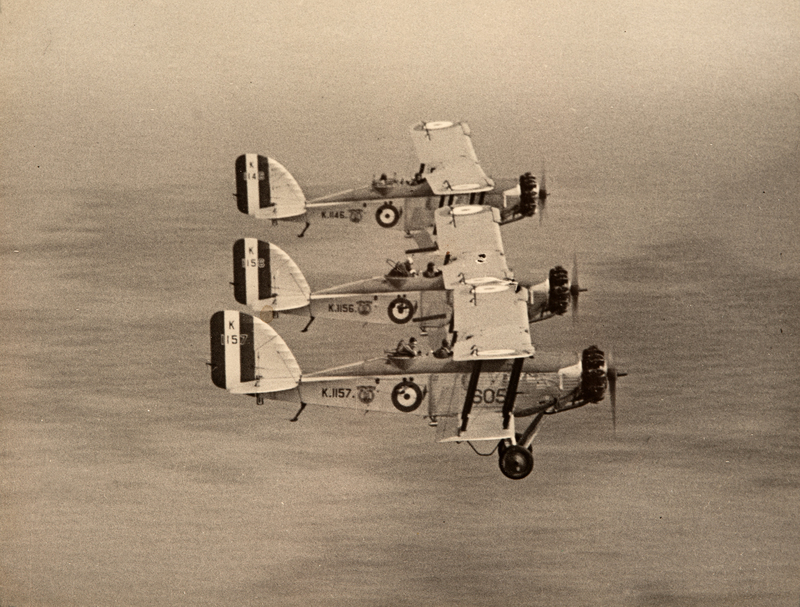Westland Wapitis DSC_0907.jpg