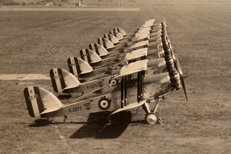 Westland Wapitis DSC_0918.jpg