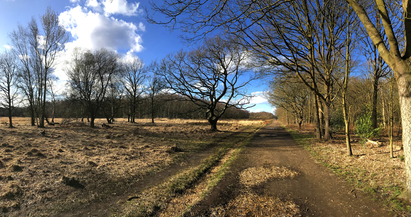 Wimbledon Common wimb11.jpg