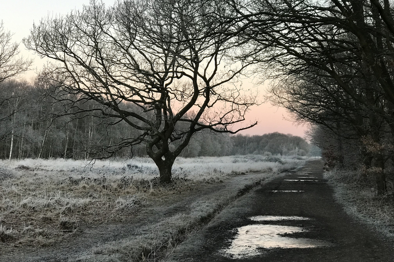 Wimbledon Common wimb13.jpg