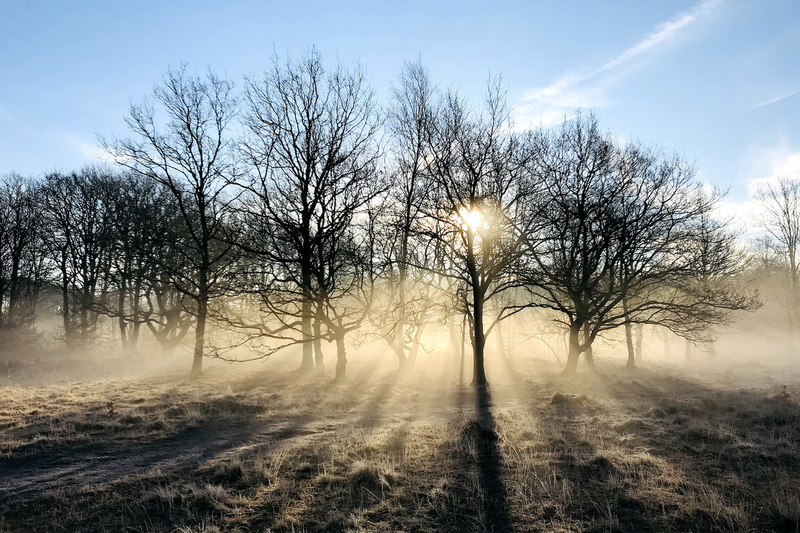 Wimbledon Common wimb3.jpg