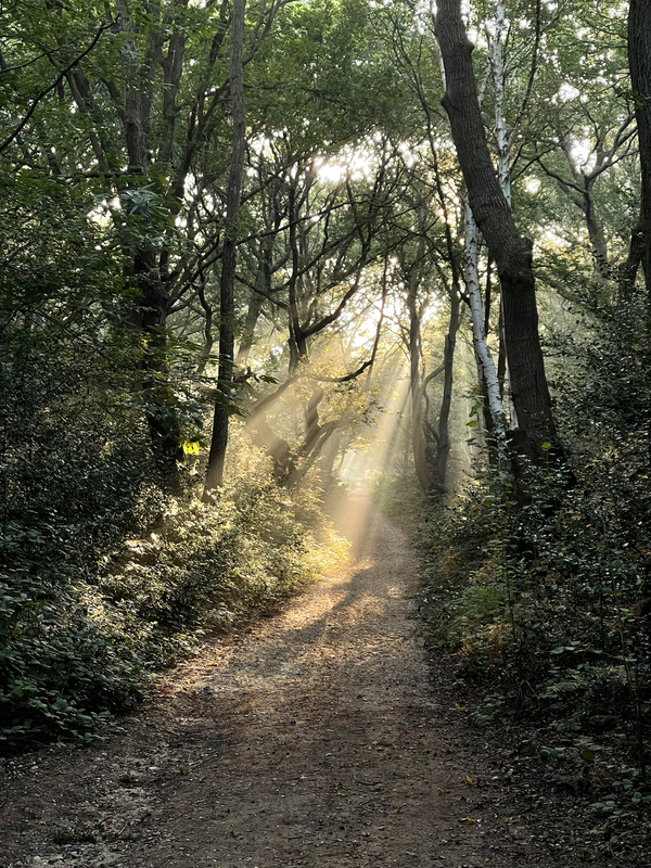 Wimbledon Common wimb4.jpg