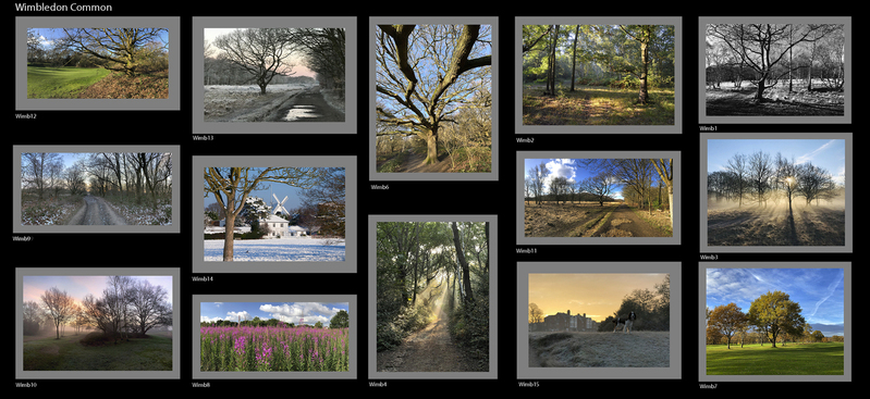 Photographic Exhibition Images of Wimbledon Common.jpg