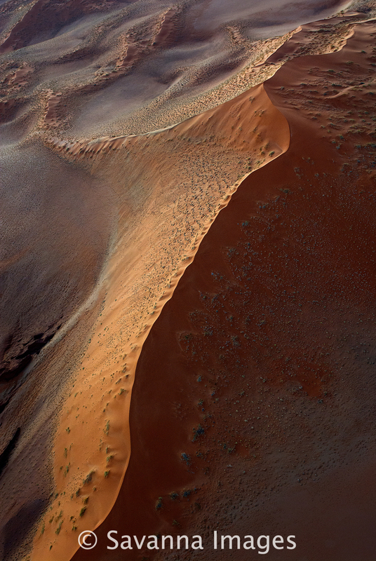 AL017.jpg