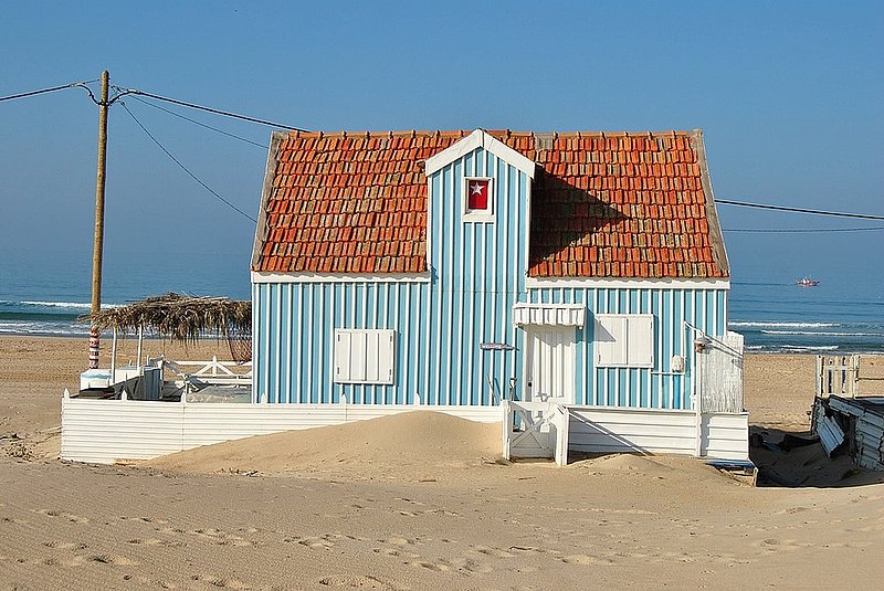 DSC_8832.jpg