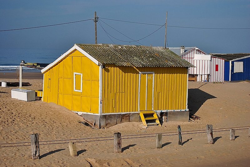 DSC_9385.jpg