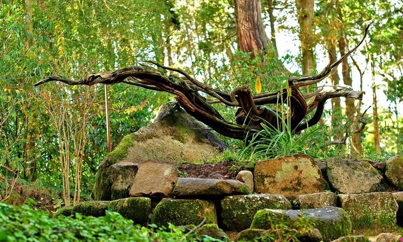 Gardens of Chalet Condessa D Edla.jpg