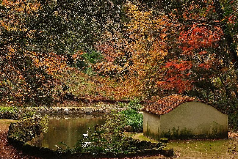 Pena Palace gardens.jpg