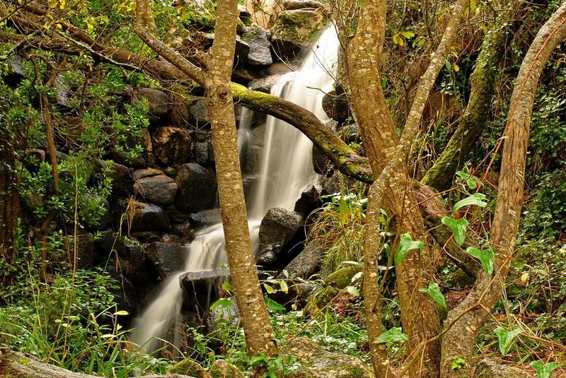 Water fall near Monserrate Palace.jpg