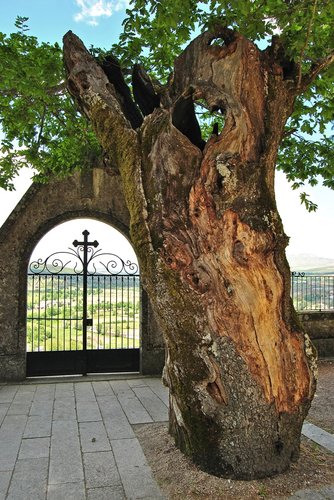 Door of the cemetry in Montalegre.jpg