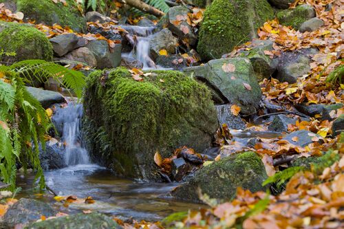 Autum falls.jpg
