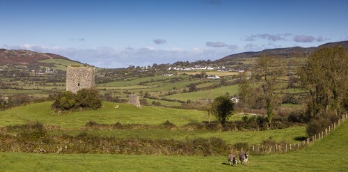 Moyra Castle with Donkey .jpg