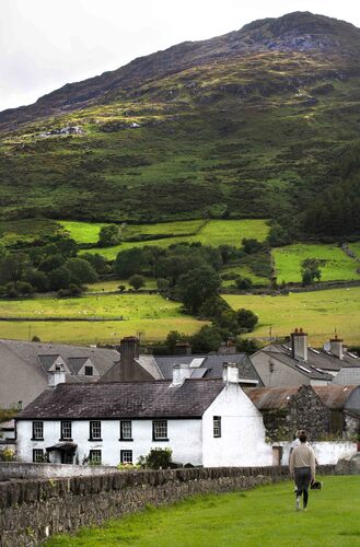 Slieve Foy Carlingford .jpg