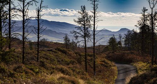 Slieve Gullion.jpg