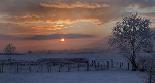 IMG_0551lm.jpg