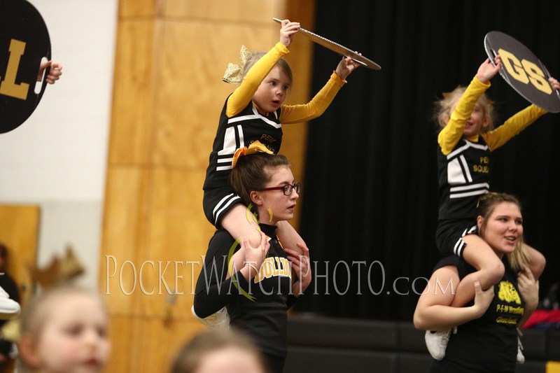 012419PMCH - 029.jpg :: P.E.M. Cheer Team Performance 2019