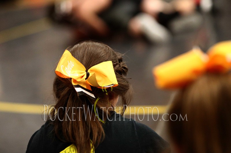 012419PMCH - 068.jpg :: P.E.M. Cheer Team Performance 2019