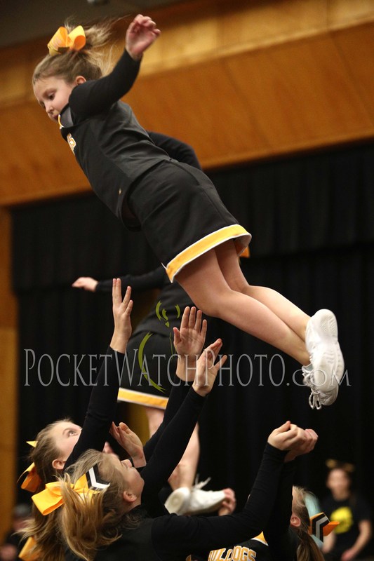 012419PMCH - 086(1).jpg :: P.E.M. Cheer Team Performance 2019