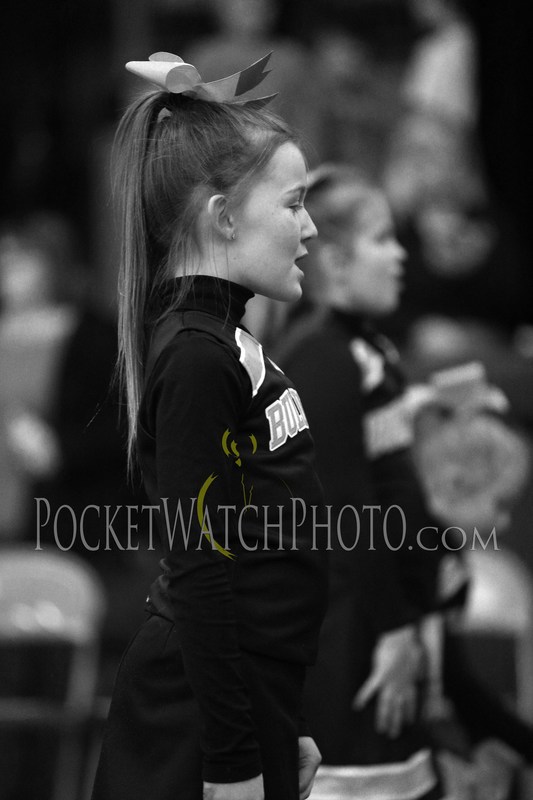 012419PMCH - 099(1).jpg :: P.E.M. Cheer Team Performance 2019