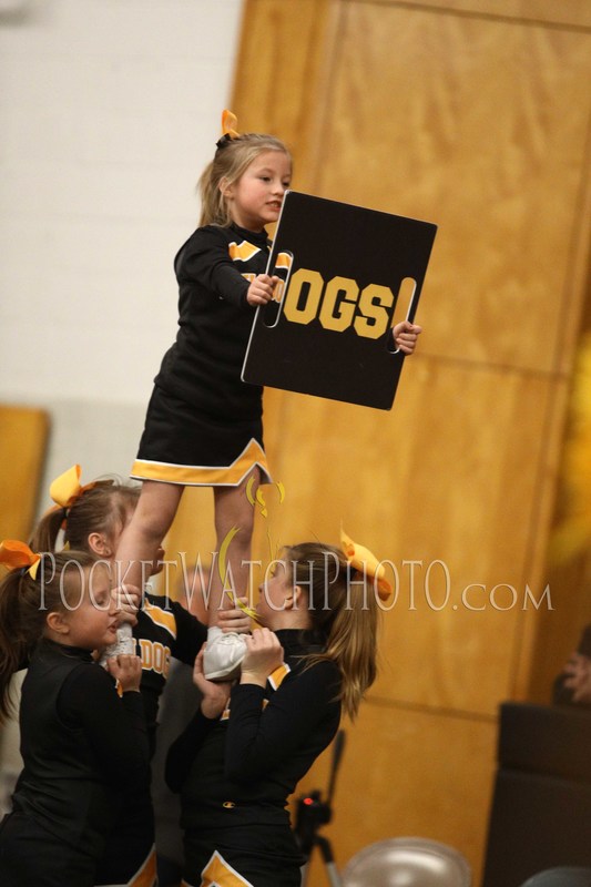 012419PMCH - 105(1).jpg :: P.E.M. Cheer Team Performance 2019