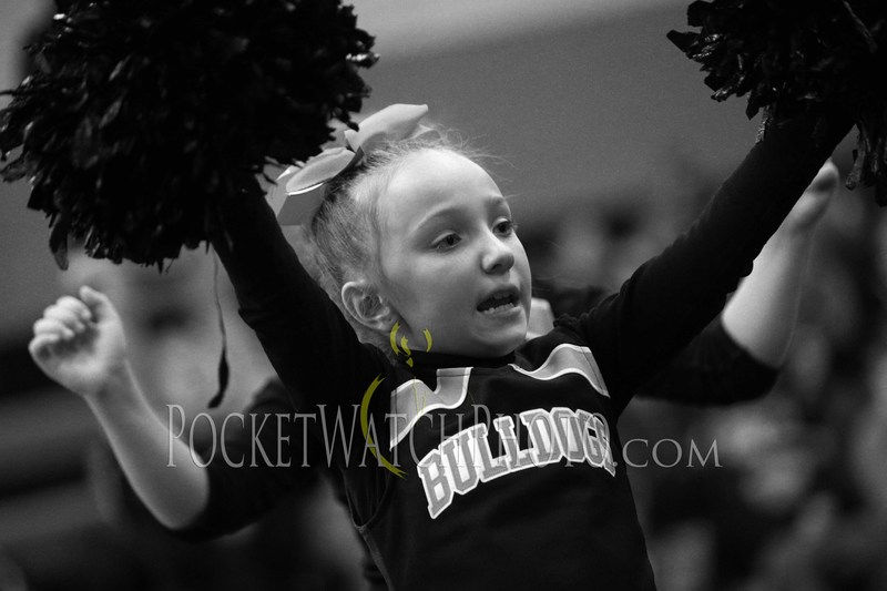 012419PMCH - 113.jpg :: P.E.M. Cheer Team Performance 2019