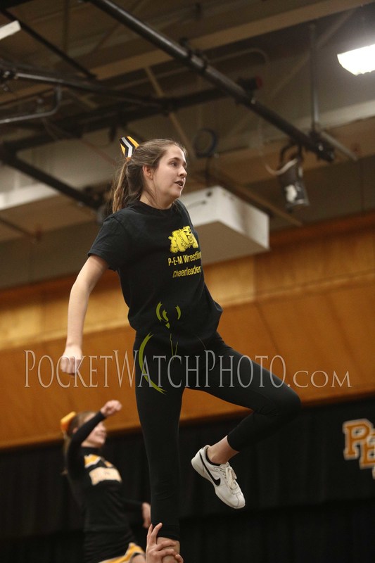 012419PMCH - 131(1).jpg :: P.E.M. Cheer Team Performance 2019